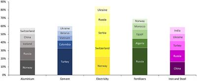 The European Union's CBAM as a de facto Climate Club: The Governance Challenges